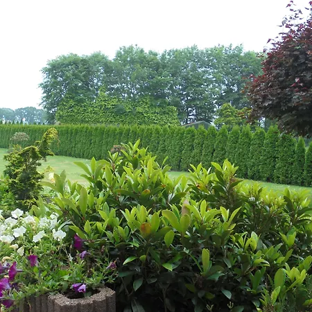 Hotel Hotel-landgasthof Herzog Barssel (Cloppenburg)